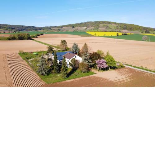 Ferienwohnungen Rosenhof