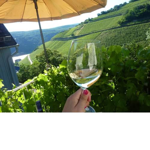 Ferienwohnungen Steinhardt - Urlaub im Rheingau