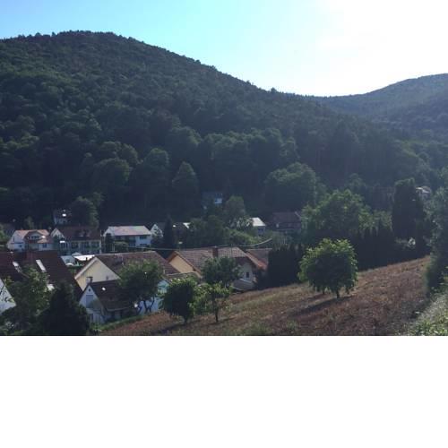 Ferienwohnungen Tauscher