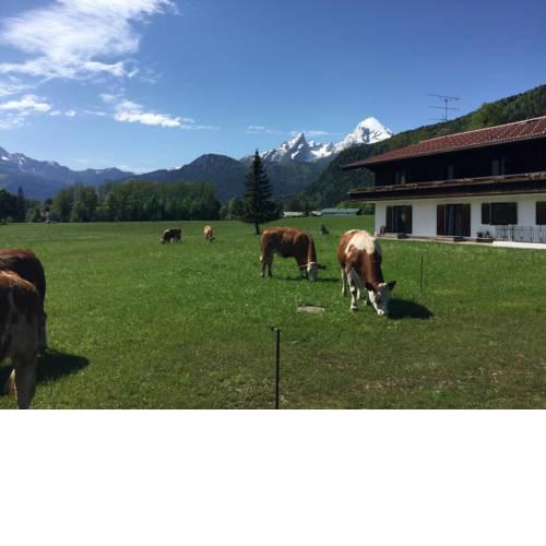 Ferienwohnungen Wassererlehen