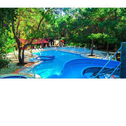 Festival Nature Hotel