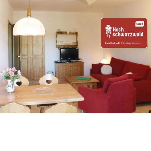 Fewo 1 - Residenz Schauinsland- mit Pool und Sauna Todtnauberg,  bei Feldberg - [#124672]