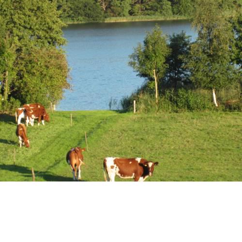 FeWo am Pohlsee