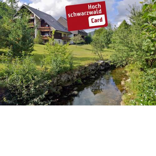Fewo C4 Haus Albmatte