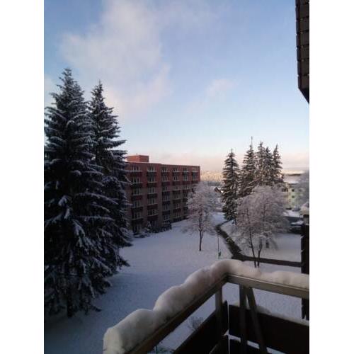 FeWo Eisblume - a52283