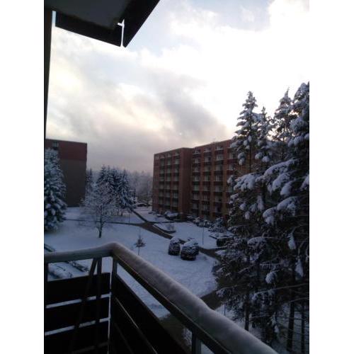 Fewo Eisblume - a66166