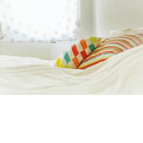FeWo-Regenbogen-Dresden