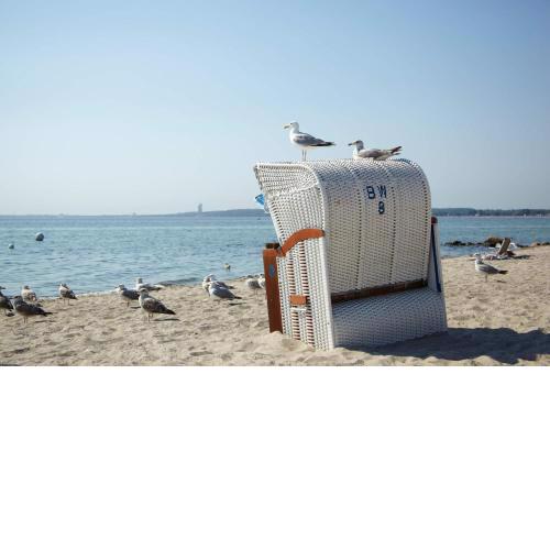 FeWo SEESCHWALBE - Pool - Familien - strandnah - Hunde - Loggia