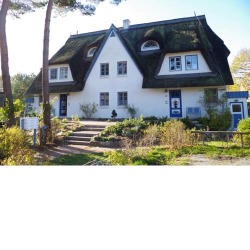 FeWo Sonnenblume Achtern Diek in Zingst