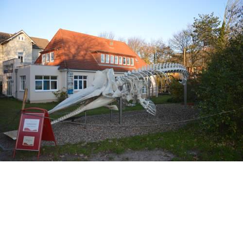 FeWo "Unser Boot" 3