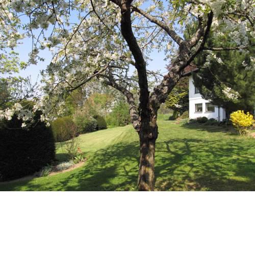 Fewo Vulkaneifel