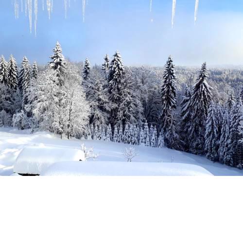 FEWO Waldmuehl