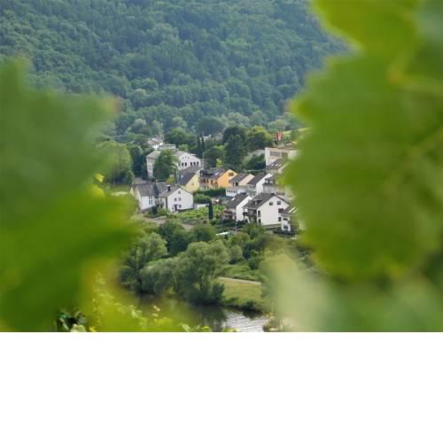 Fewo Winzerstrasse