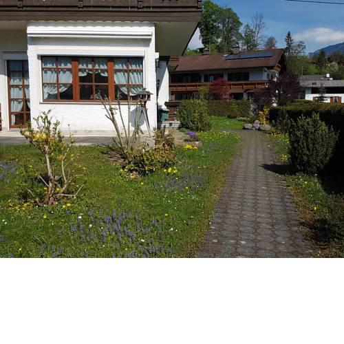 FeWo Zirbenblüte