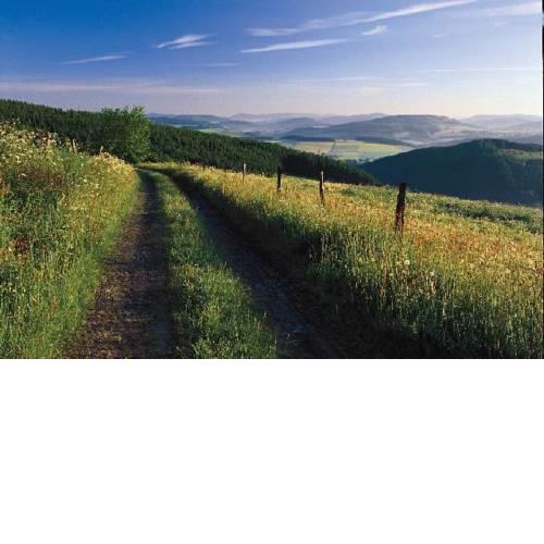 Fichtenweg 33