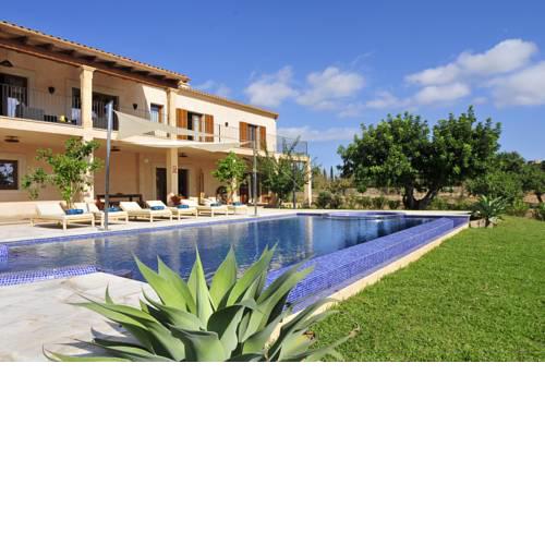 Finca Alou