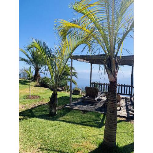 Finca Awara