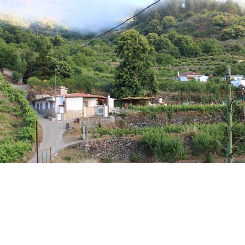 Finca El cole
