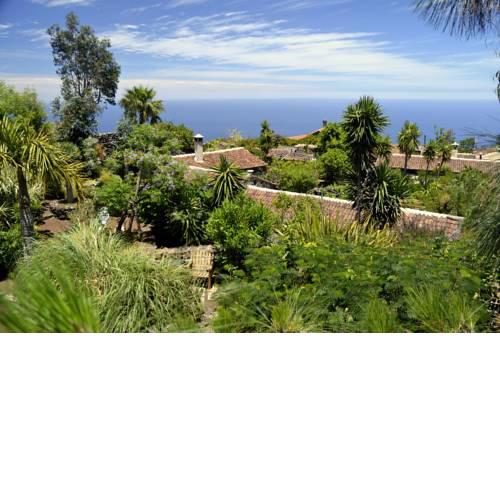 Finca El Lance