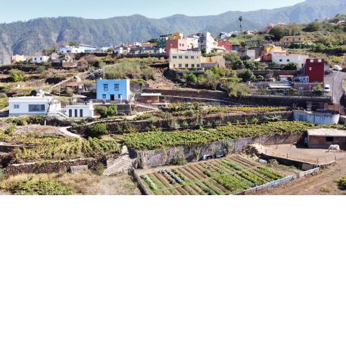 Finca El Milagro