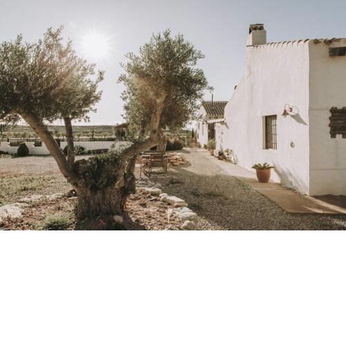 Finca el Pocico