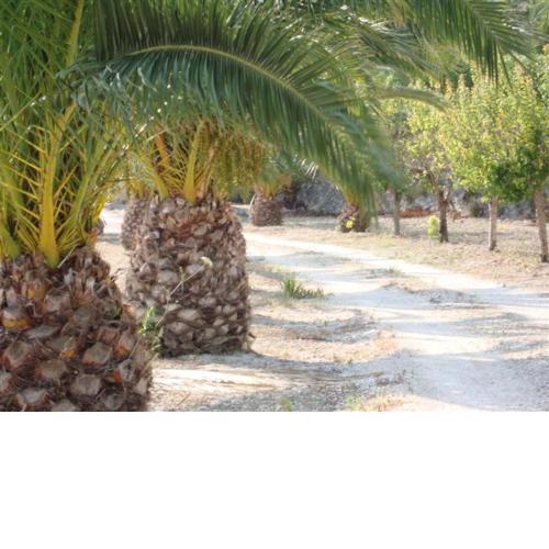 Finca la Jarra
