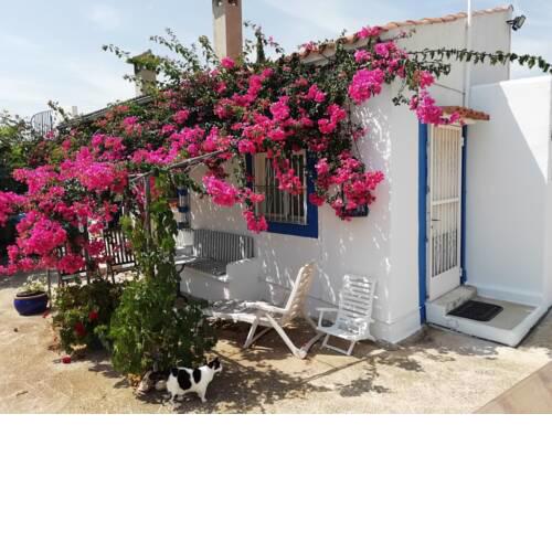 Finca la Joya