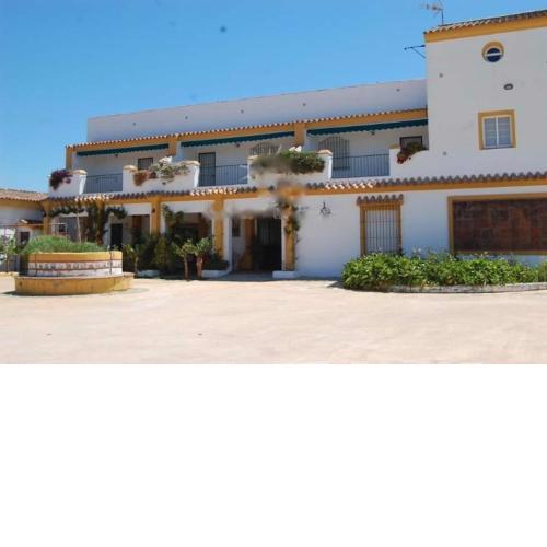 Finca La Tacita - Petunia