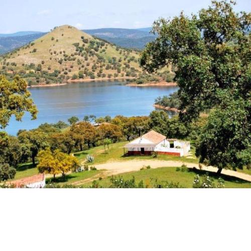 Finca La Vicaria Romero