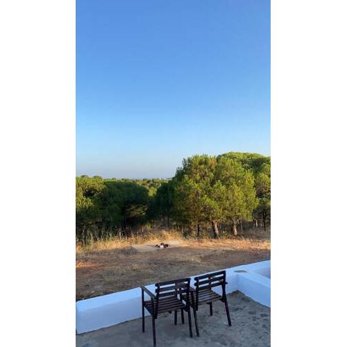 Finca Los Borrachos