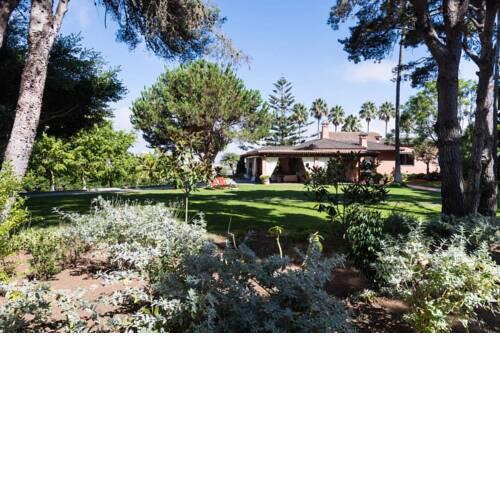 Finca Los Pinos