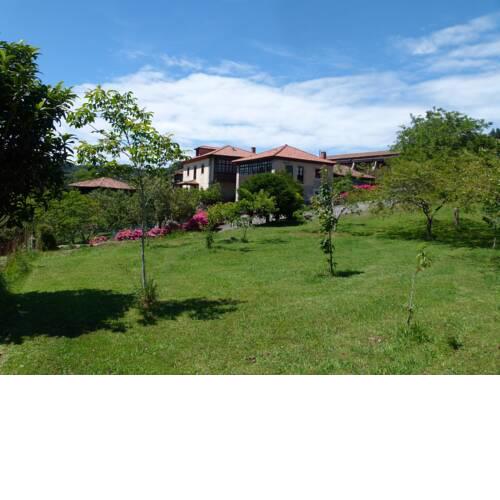 Finca Los Venancios