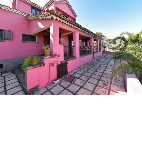 Finca Pasion - Santa Brigida