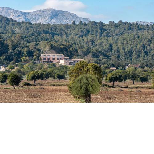 Finca Son Cladera