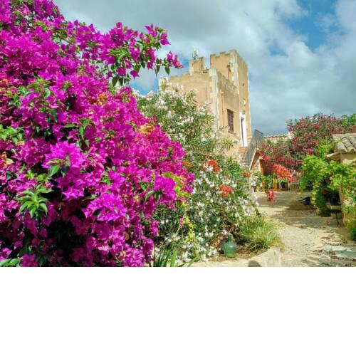 Finca Son Marimon