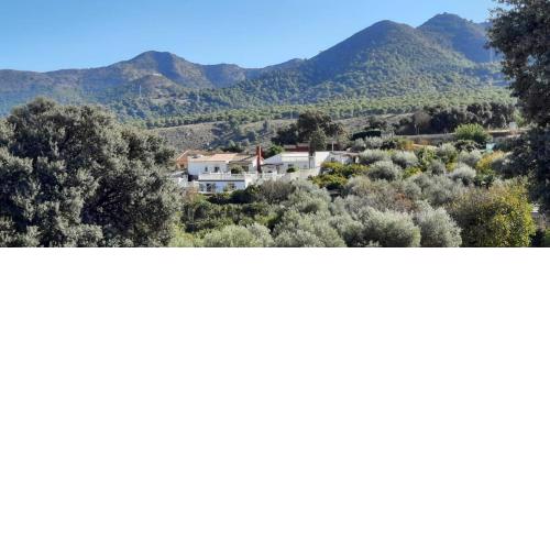 Finca Sueño de Vida