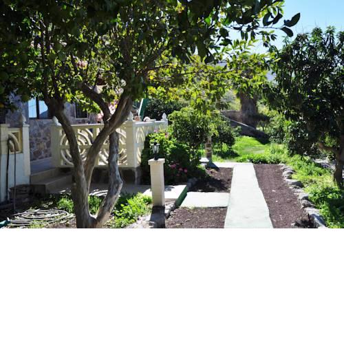 Finca Tomás y Puri