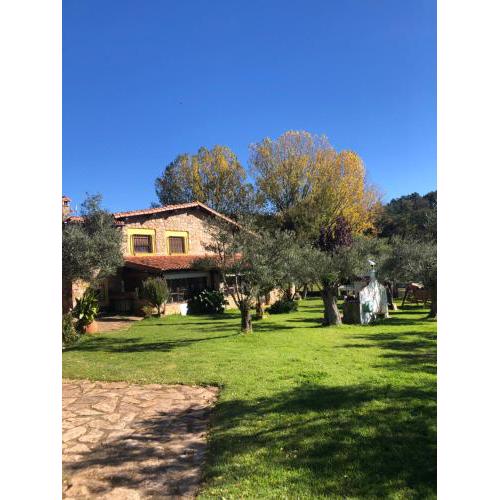 Finca vergel