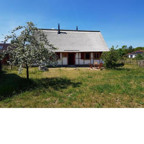 Fischerhus Lütt Hauke 69 qm Traudel