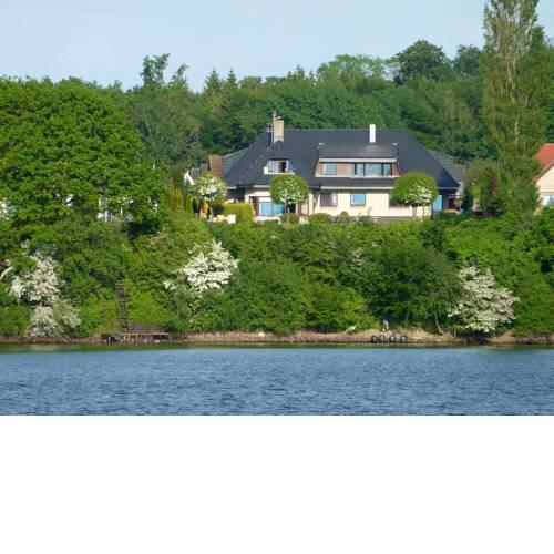 Fischreiher 1