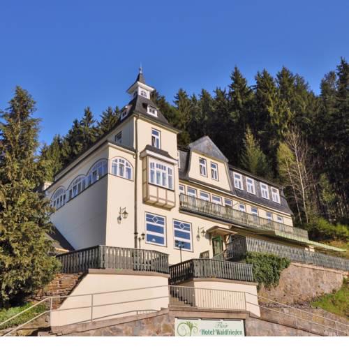 Flair-Hotel Waldfrieden