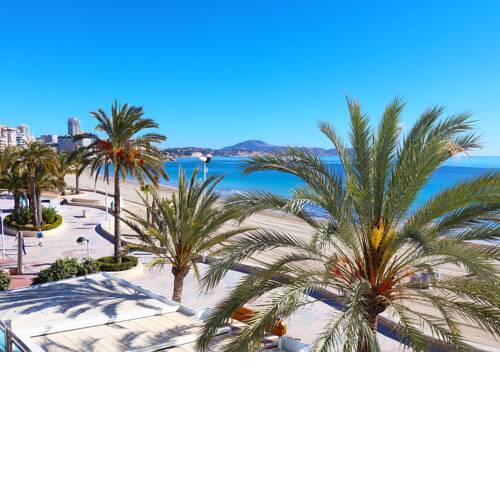 Flamingo- CostaBlancaDreams