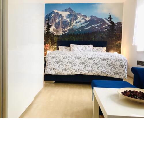 Flat 123 ubytování pod sjezdovkou