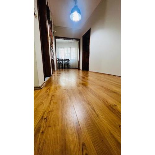 Flat in the center with free Wi-Fi