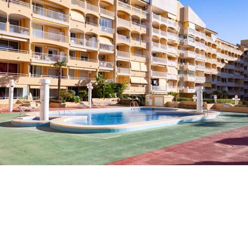 Flats Friends Apolo VII