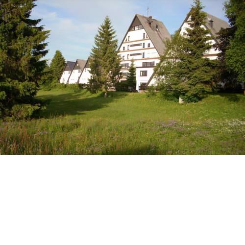 Flingermann Apartment 10 Schönwald