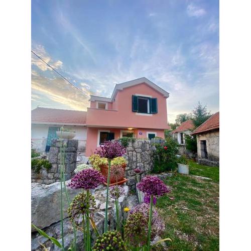 Flower House in Kozica