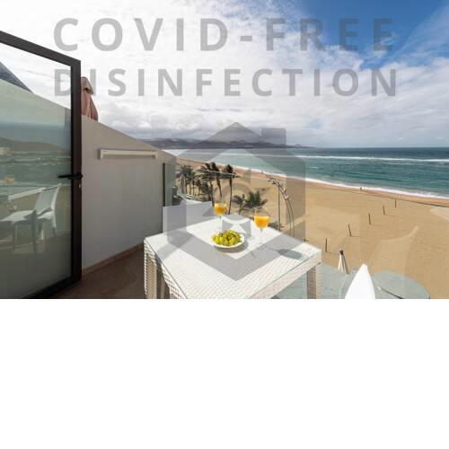 Fly over Las Canteras beach