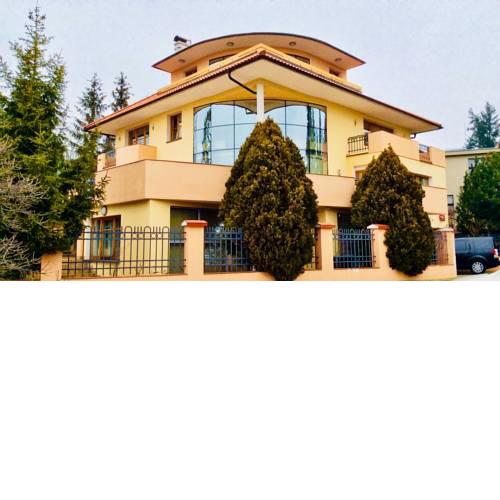 Flying House