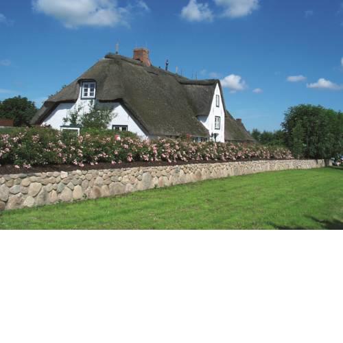Föhrienhaus